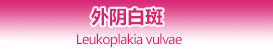 沈阳沈大医院怎么样